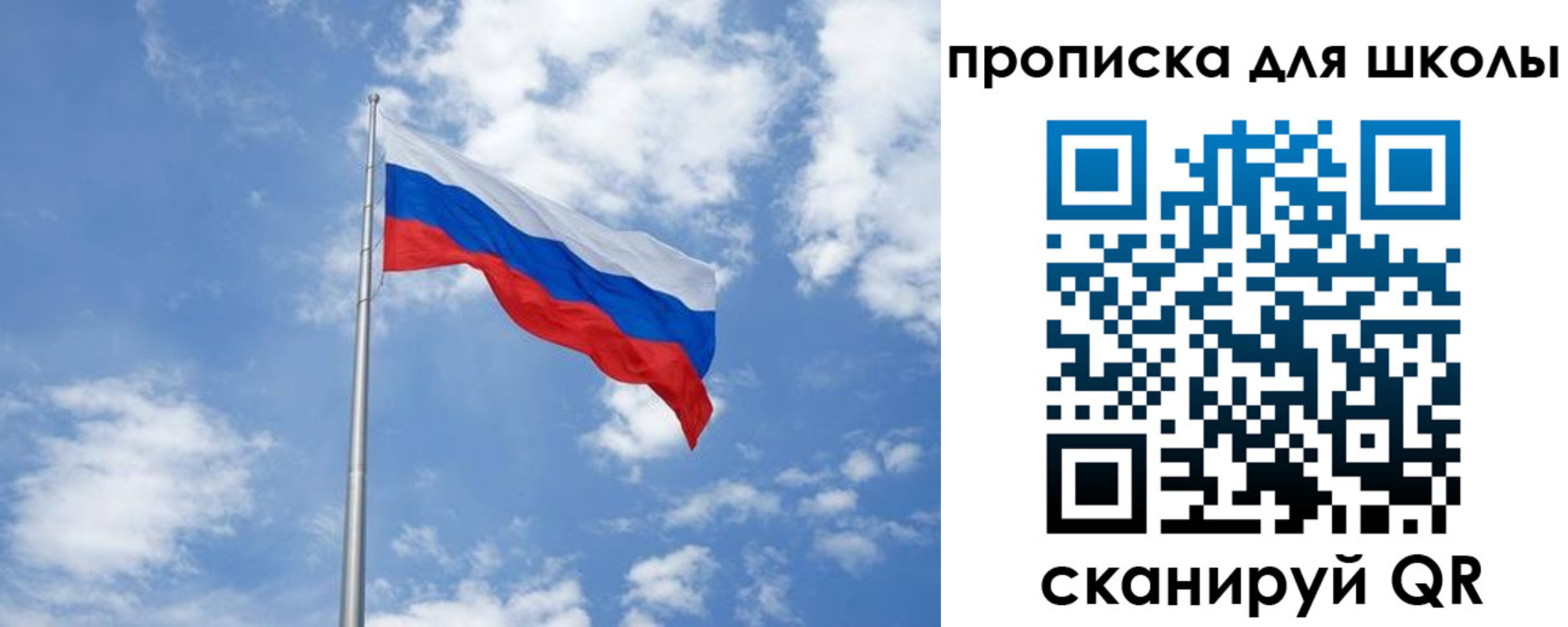 прописка поиск в Волоколамске